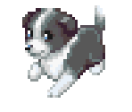 Dog 11 - Dogz