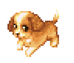 Dog 12 - Dogz