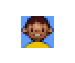 Memory Card Icon - Boku no Natsuyasumi