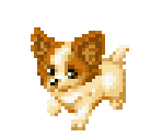 Dog 14 - Dogz
