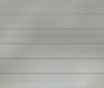 Notebook - Syberia II