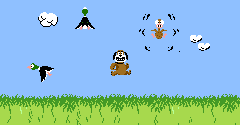 Vs Duck Hunt