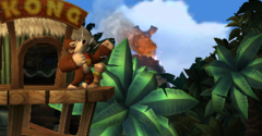 Donkey Kong Country Returns 3D