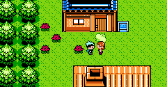 Pokémon Diamond (Bootleg)