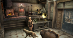 Haunting Ground