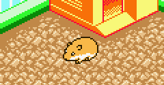 Kawaii Hamster 2 (JPN)