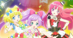 PriPara Customs