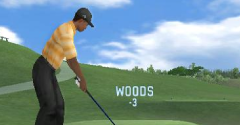 Tiger Woods PGA Tour 07