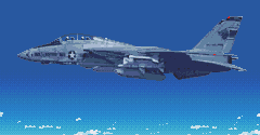 F-14 Tomcat