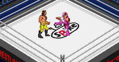 Fire Pro Wrestling