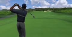 Tiger Woods PGA Tour