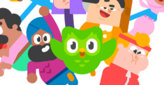 Duolingo Customs