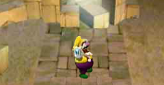 Wario World