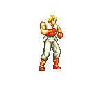 Andy Bogard