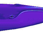 Big Blue Whale