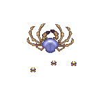 Arctic Spider