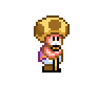 Toadsworth (Super Mario World-Style)