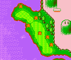 Peach's Castle Course #17