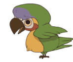 Parrot