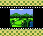 Golf Guru’s Pitch and Putt