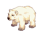 Polar Bear