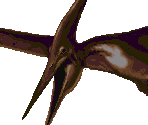 Pteranodon