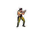 NES - Mortal Kombat 3 Ultimate (Bootleg) - Shang Tsung - The Spriters  Resource
