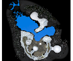 Silver Lake (Battle Enemies) Map