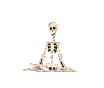 Skeleton