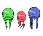 Jellyfish