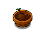 Flower Pot