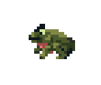 Swamp Toad