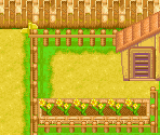 South Side of Mineral Town (Spring)