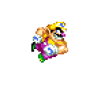 Wario