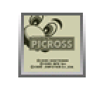 Mario's Picross