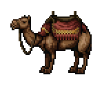 Camel