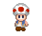 Toad (Overworld)