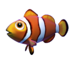 Clownfish