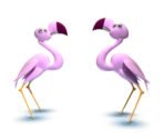 Flamingo