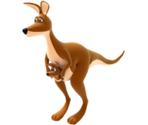 Kangaroo