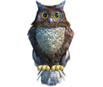 Owl