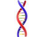 DNA