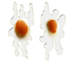 Egg Splatter