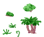 Plants