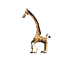 Melman