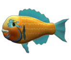 Parrotfish