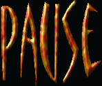 Pause Icon