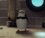 Penguin Lair