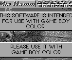 Game Boy Error Message