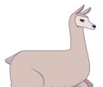 Llama